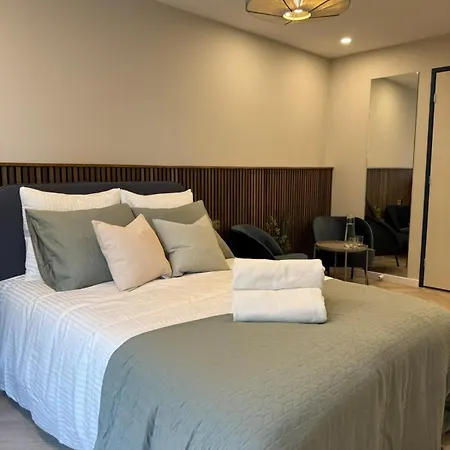 The Stylish Gem Of Aprt R1 Appartement Den Haag