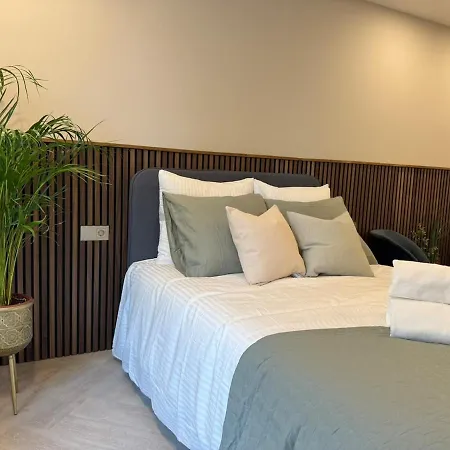 The Stylish Gem Of Aprt R1 Appartement Den Haag